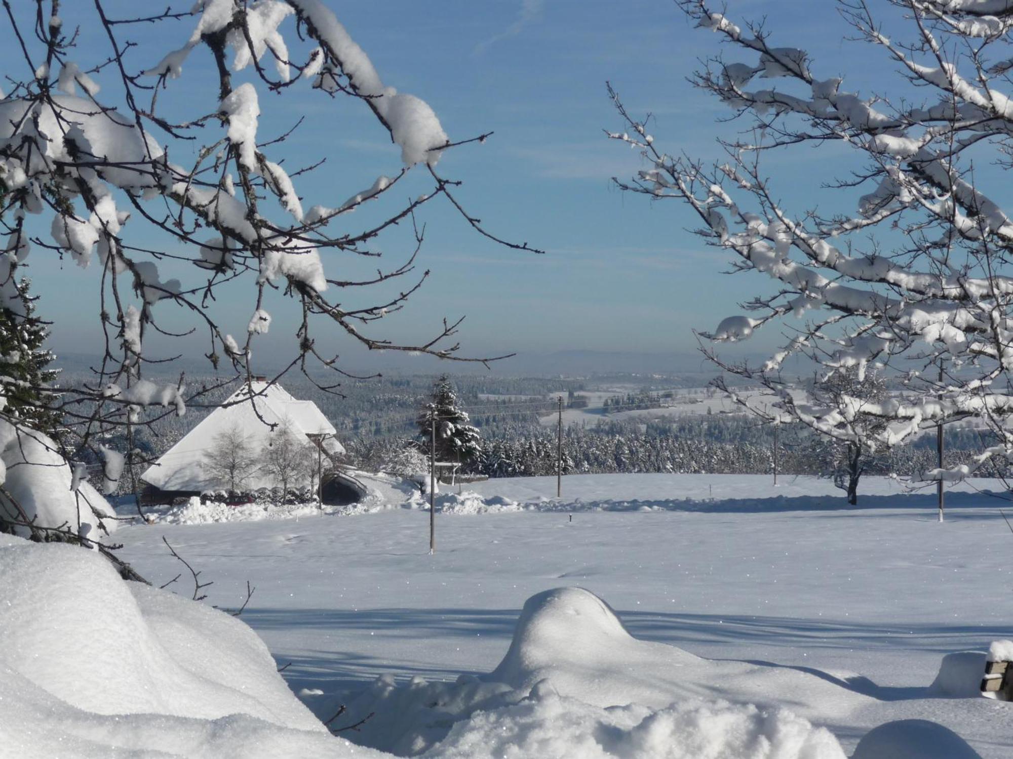 Hoehenpension Glashuette Bed&Breakfast Fruehstueckspension Hotel Garni Bonndorf im Schwarzwald Εξωτερικό φωτογραφία