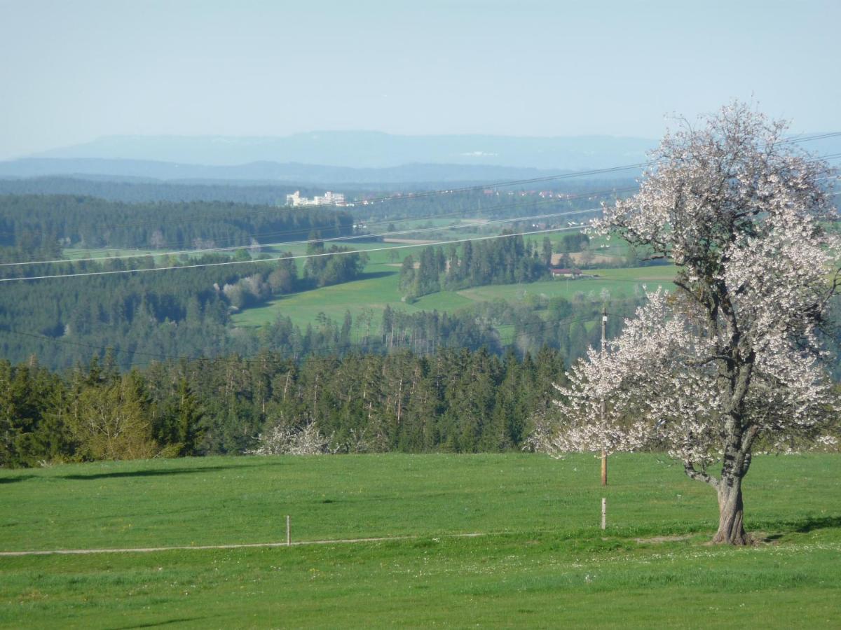 Hoehenpension Glashuette Bed&Breakfast Fruehstueckspension Hotel Garni Bonndorf im Schwarzwald Εξωτερικό φωτογραφία